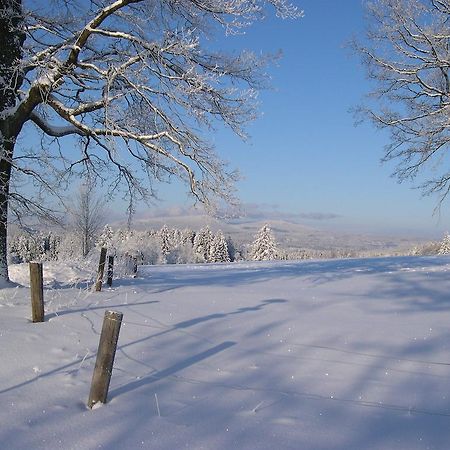 Luxury Apartment In Sumava Mountains Kristanov Dış mekan fotoğraf