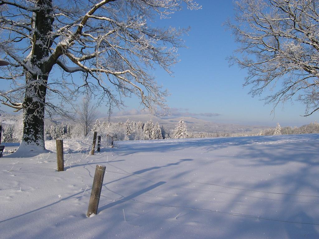 Luxury Apartment In Sumava Mountains Kristanov Dış mekan fotoğraf